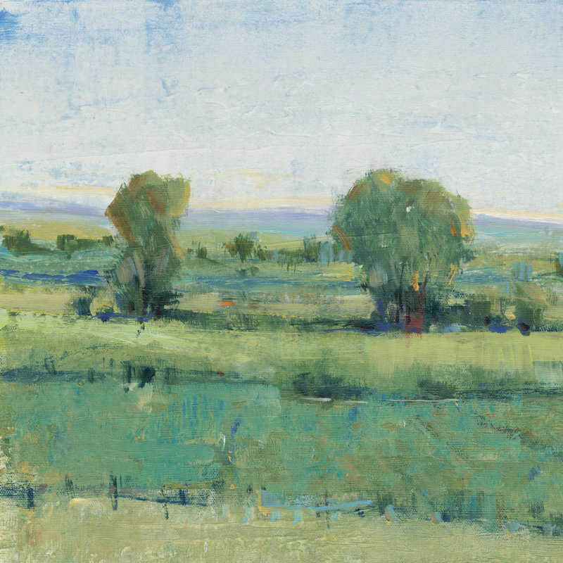 Spring Meadow I by Tim OToole - Wrapped Canvas Painting, 51cm H x 51cm W