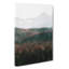 Fir Tree Forest Abstract - Wrapped Canvas-56639141