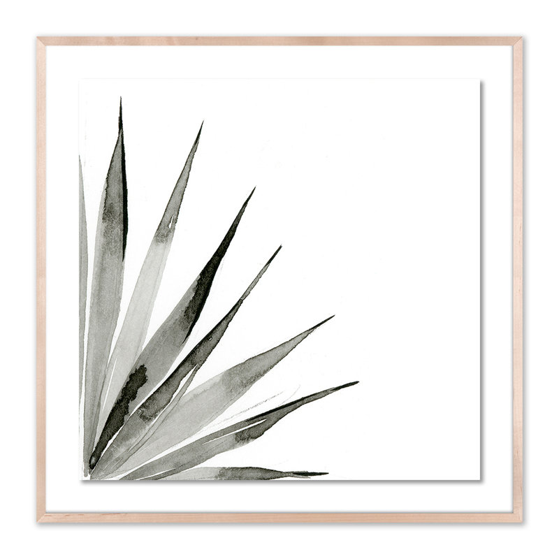 Agave II Print by Jess Engle, Natural, 40" H x 40" W x 2.5" D