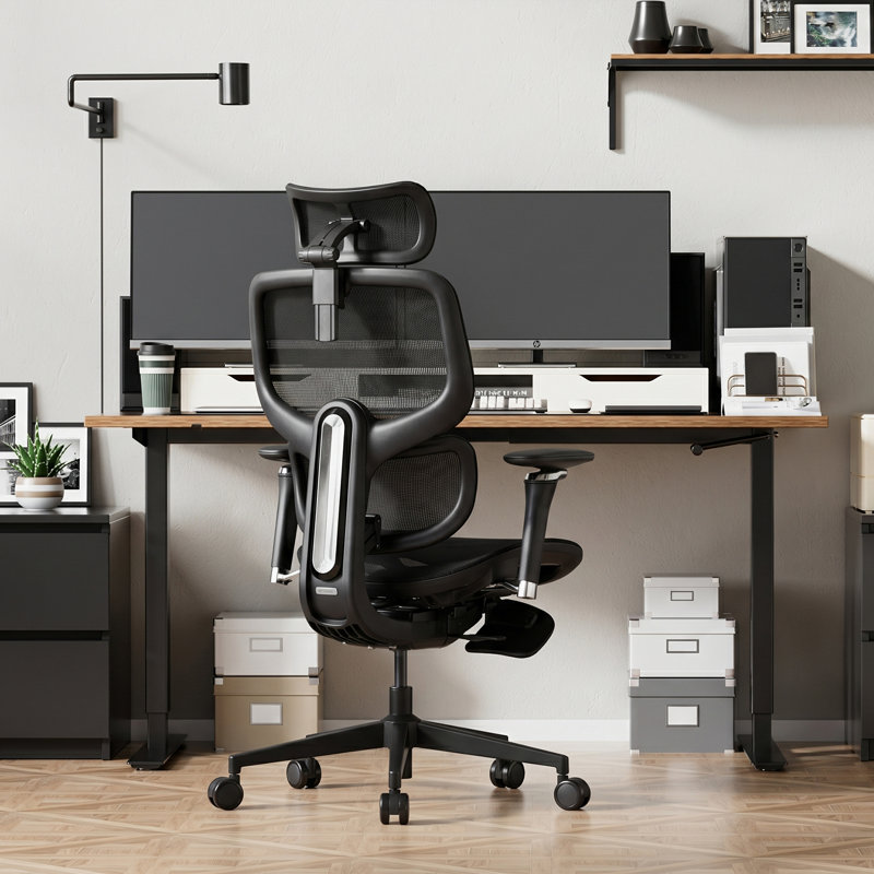 Fauteuil de bureau ergonomique Professional D2, Noir, Noir
