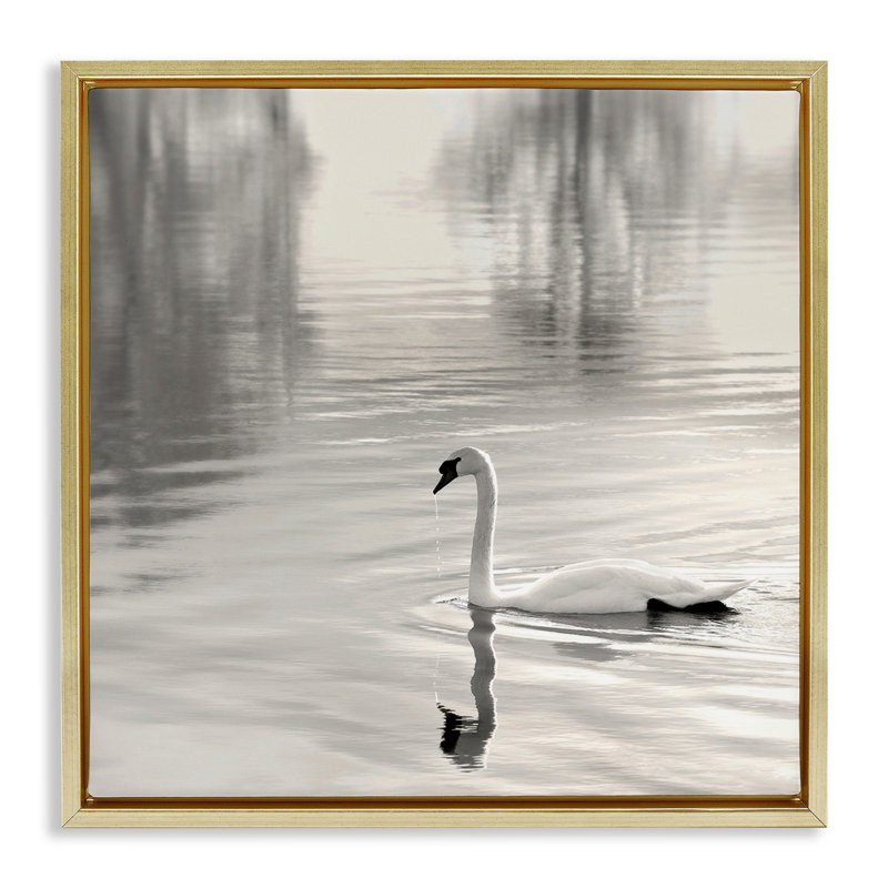 Cadre flottant Morning Sunlit Swan, design par Nicholas Bell, H 18 po x l 18 po, Cadre flottant métallique doré