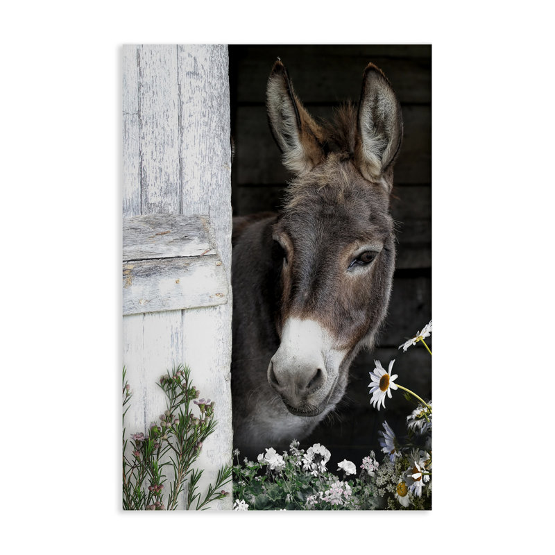 «Gentle Donkey Peering» de Barn Canvas, design par CAD Designs, H 36 po x l 24 po