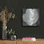 «Magnolia III Sage» par Carol Rowan-1295411348