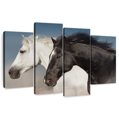 Brampt chevaux blancs et noirs