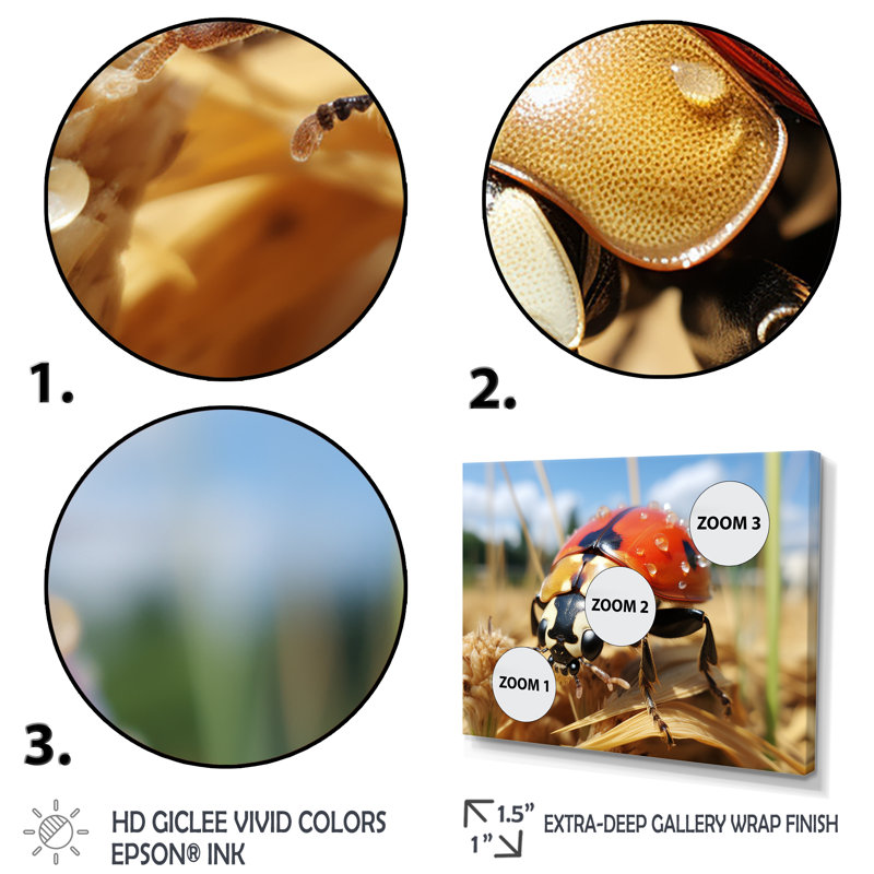 Curious Ladybug Meadows - art de coccinelle, Cadre d'angle fermé noir, H 34 po x l 44 po x P 1,5 po