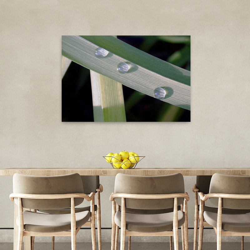 Feuille, art abstrait contemporain de la nature, H 24 po x l 36 po