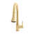 Polished Gold selected