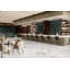 Passion 2.56 W x 7.87 L Tile-1203639860