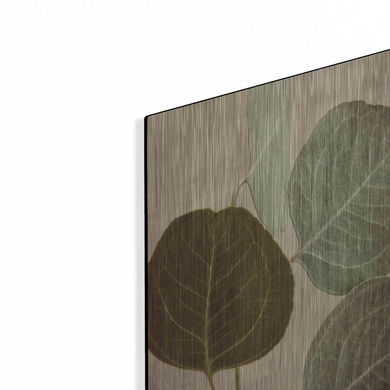 «Eucalyptus Color» par Debra Van Swearingen, H 16 po x l 12 po