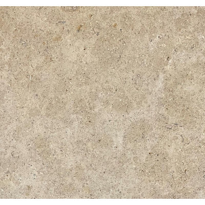 Saint-Malo Tumbled 12 po x 24 po