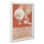 Chick by Theo Van Hoytema - Wrapped Canvas-61848426