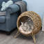 Lit pour chat Deisy