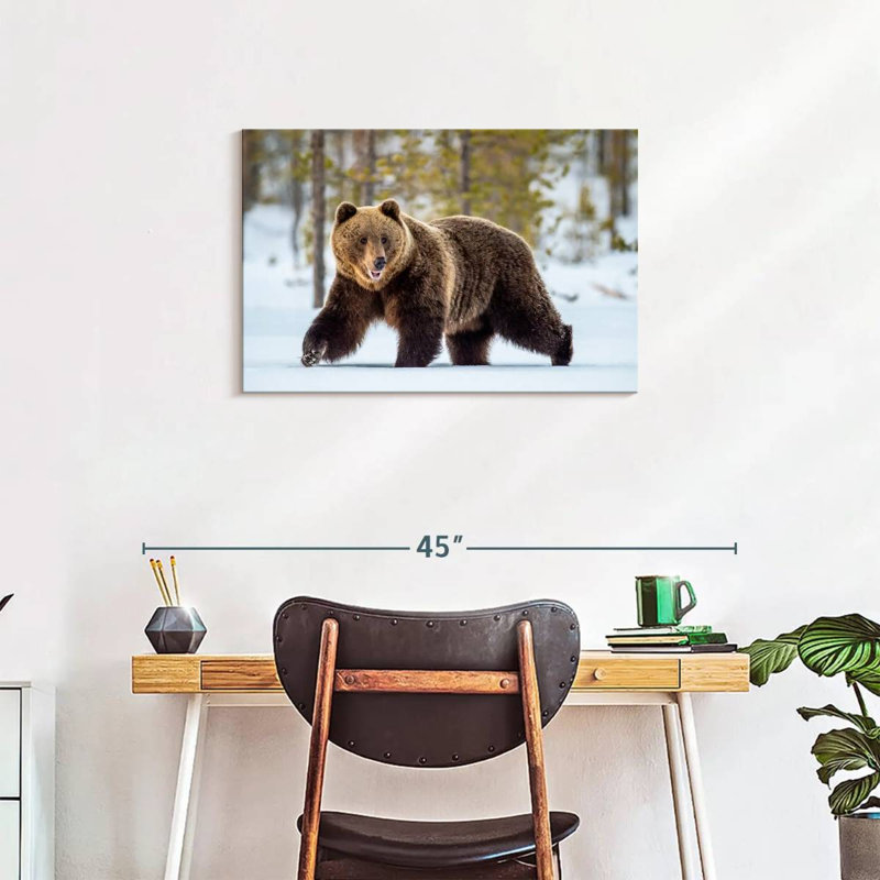 Adult Grizzly Bear, 20" H x 30" W