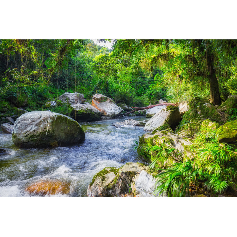 Rainforest River - Wrapped Canvas Print, 20cm H x 30cm W x 3.8cm D