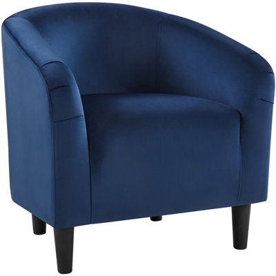 Robeson 28" Wide Velvet Barrel Chair