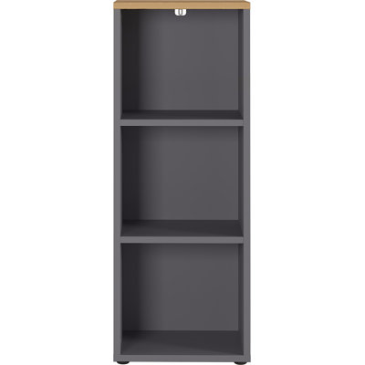 Miabella 120cm H x 45cm W Standard Bookcase