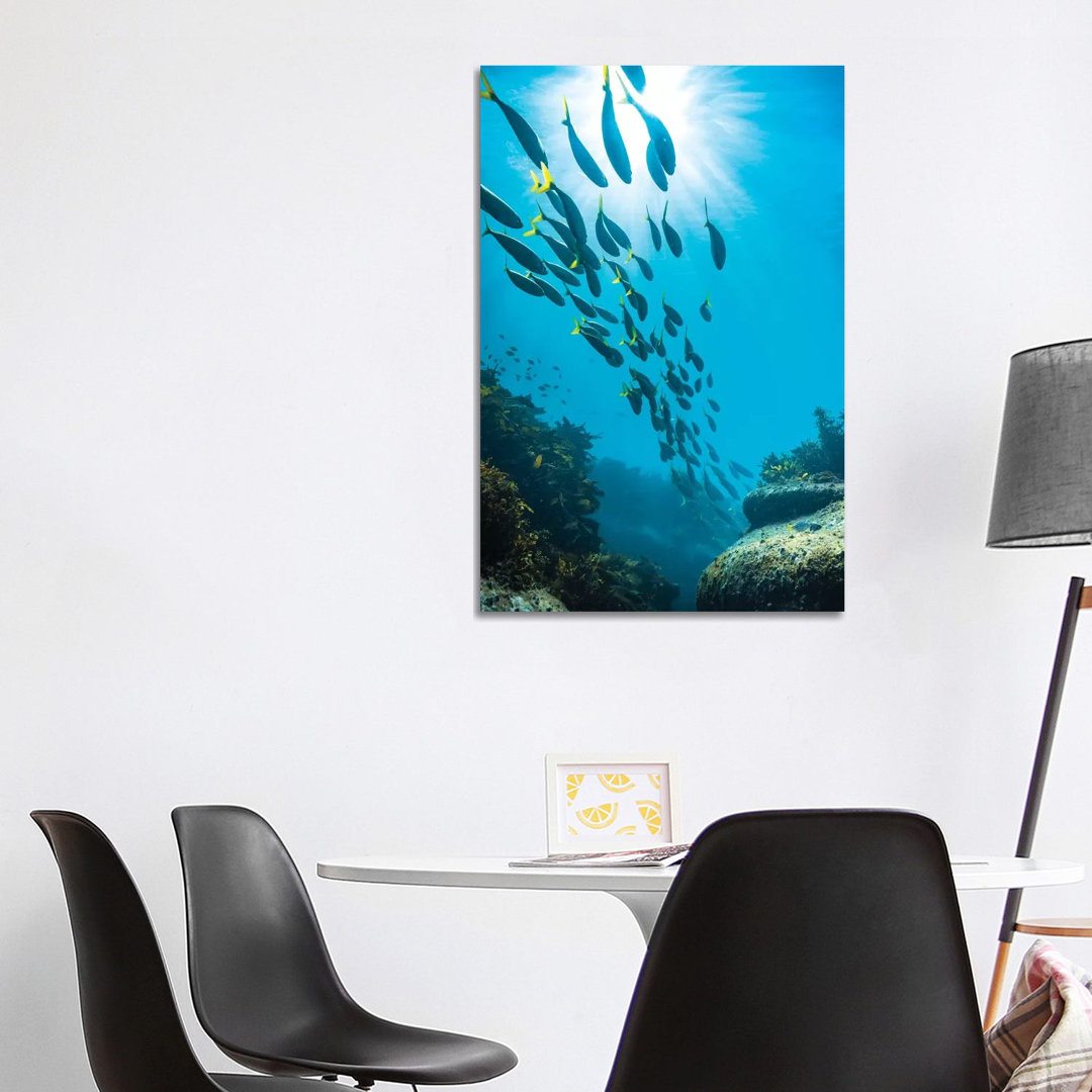 Underwater Sydney by James Vodicka - Wrapped Canvas Gallery-Wrapped Canvas Giclée