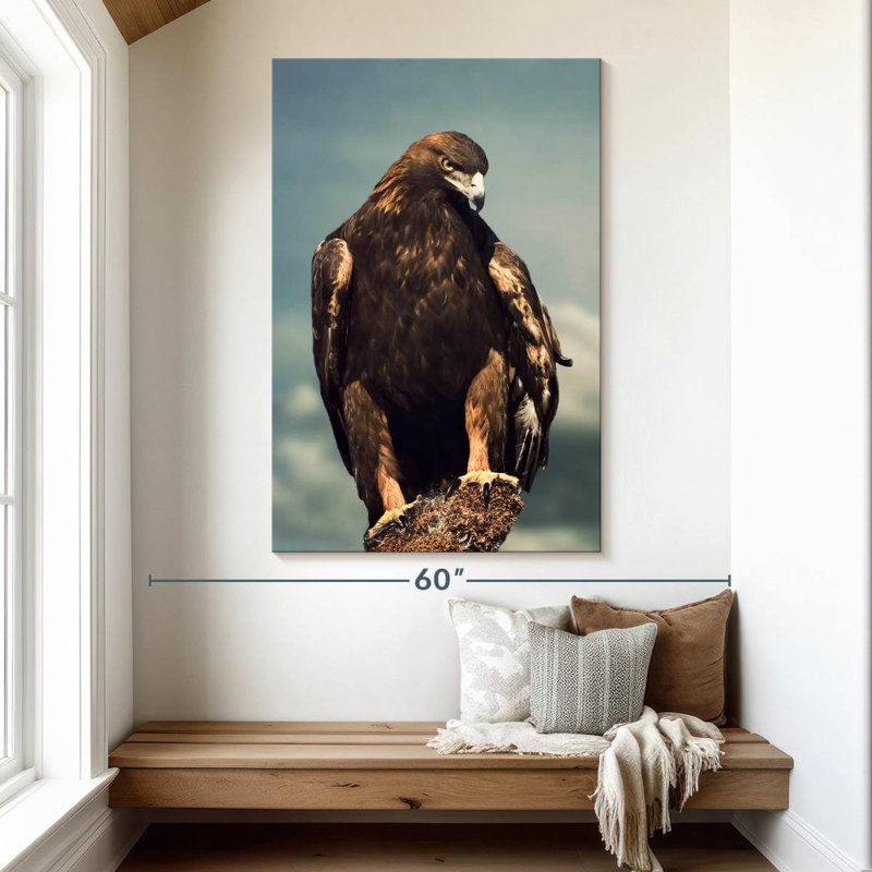 Brampt Regal Golden Eagle, 51" H x 34" W