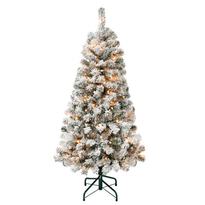 Acacia Flocked Tree with Clear Lights