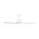 Rozzen Ceiling Fan