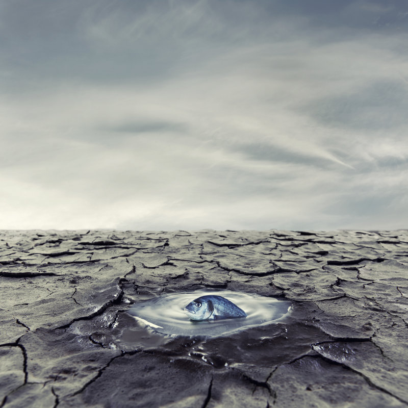 The Last Drop Of Water by Ivan Bajic - Wrapped Canvas Print, 122cm H x 122cm W x 3.8cm D