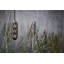 Suet Bird Feeder