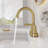 NO 2-handle Bathroom Faucet with Drain Assembly-97618746