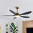 Zerik 52'' Smart Ceiling Fan With 3CCT Dimmable LED Lights And Remote Control, Compatible with Alexa/Google