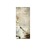 Blooming IV Print by Leftbank Art