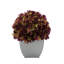 Arrangement d'hortensias en prune-1553681580-1488260804