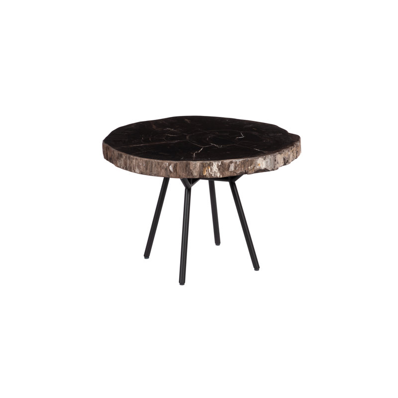 Petrified Coffee Table, Round, Metal Black Base