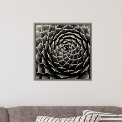 " Succulent " by Gary Horsfall