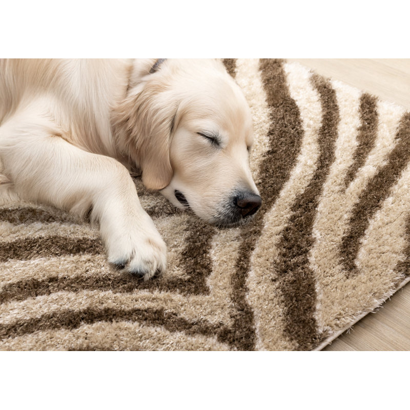 Tapis d'intérieur beige Jadis, Rectangle 5 pi 3 po x 7 pi 7 po