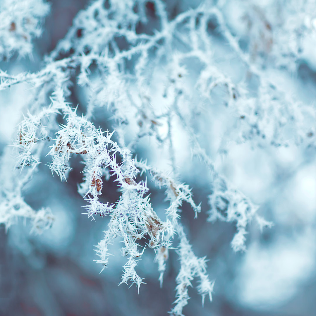 Winter-Hintergrund - Kunstdrucke auf Segeltuch