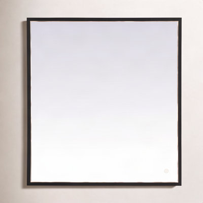 Piche Aluminium Mirror