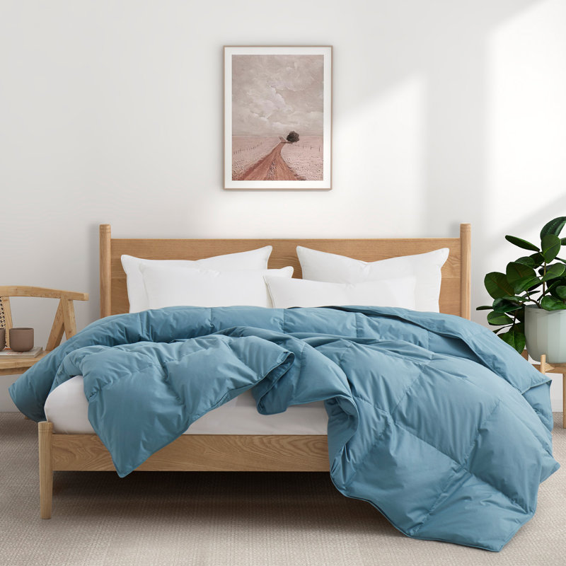 All Season Cotton Down Comforter/Duvet Insert, King Comforter, Blue