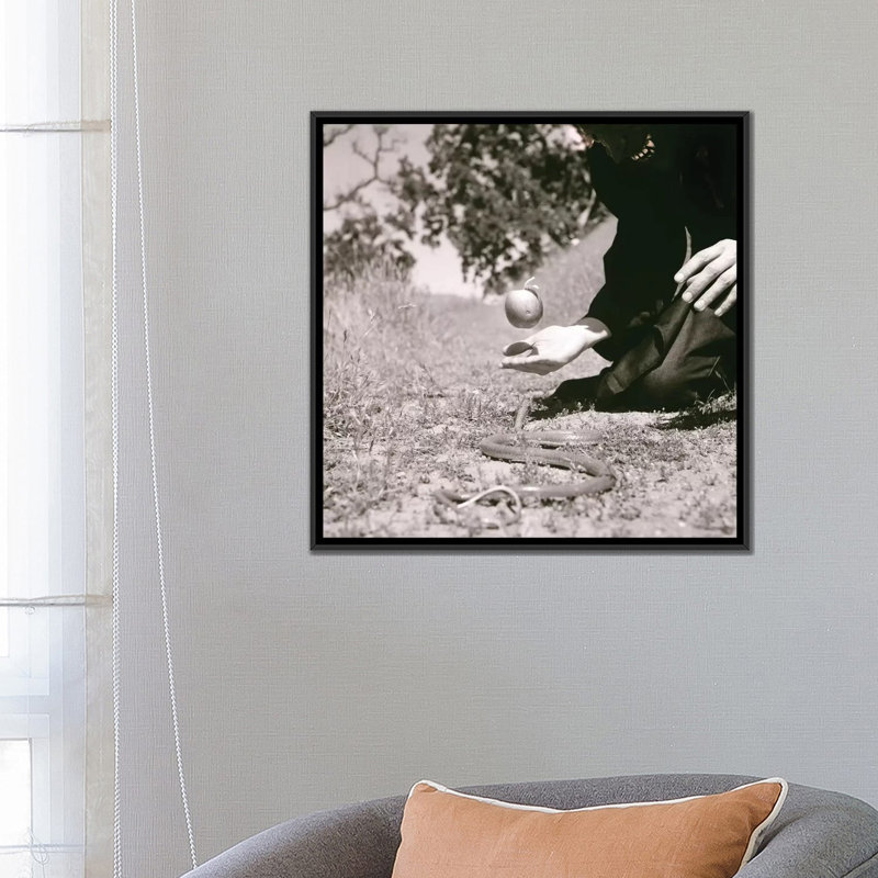 « original sin », reproduction de photo sur toile, H 18 po x l 18 po x P 1,5 po, Toile avec cadre noir, Non mat