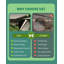 Darmito 720W Grow Light