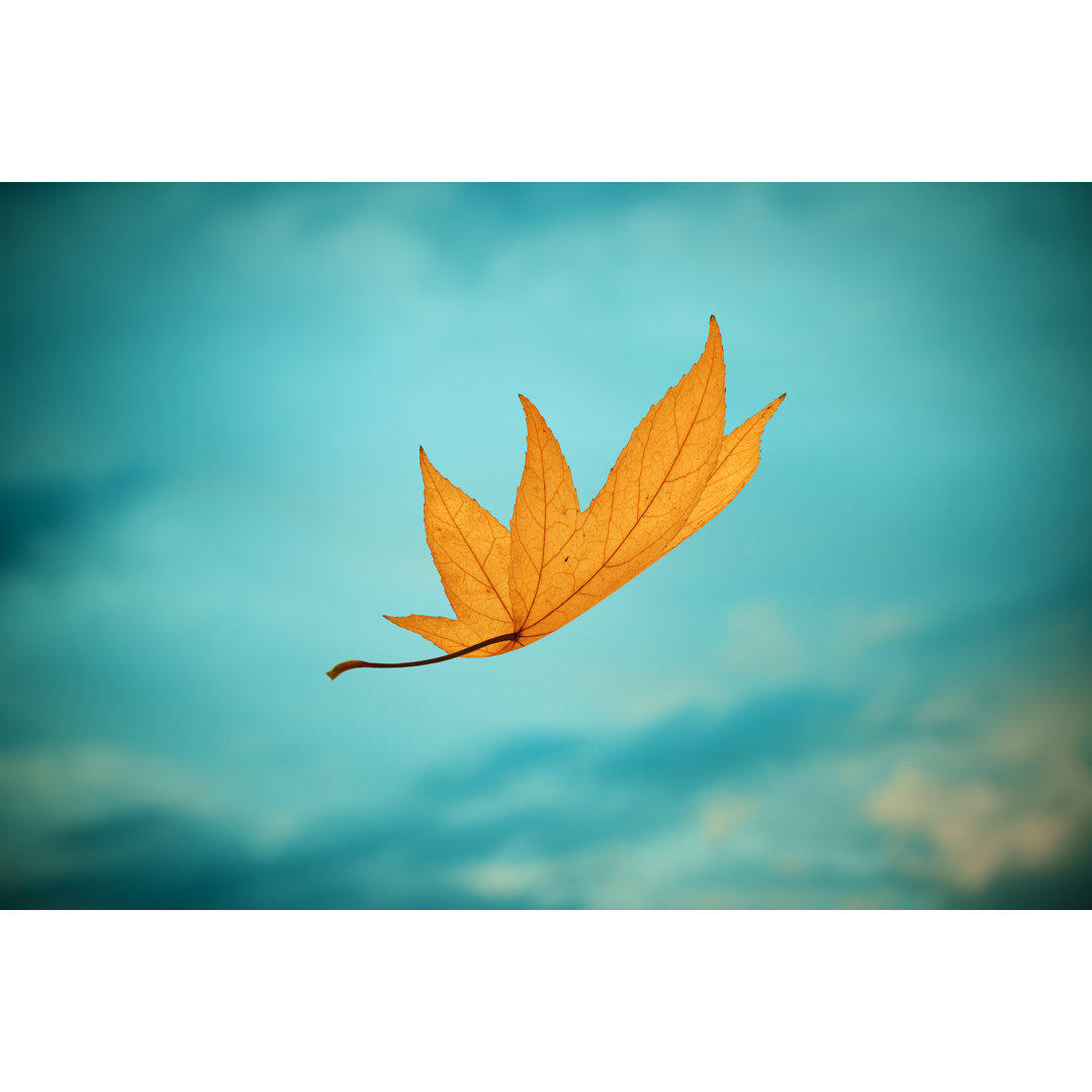 Falling Autumn Leaf von Borchee - Leinwandbild