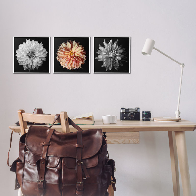 «Dahlia», ensemble de 3 giclées détaillées par Debra Van Swearingen, Giclée encadrée blanc bord de mer, H 12 po x l 12 po