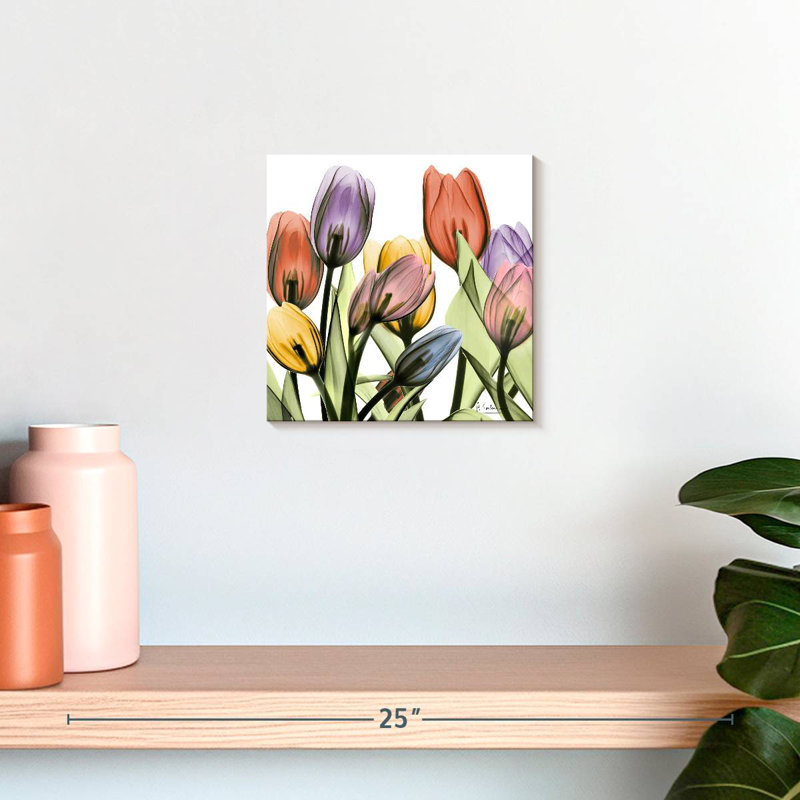Harnek Tulip Scape, H 10 po x l 10 po
