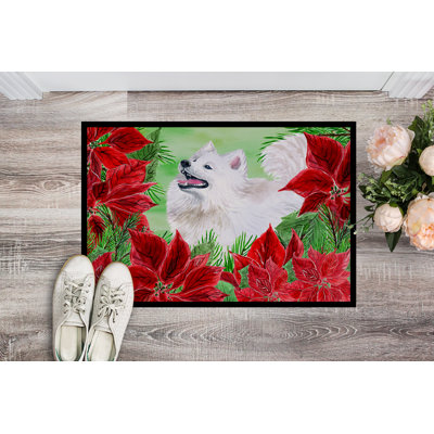 Non-Slip Outdoor Doormat