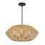 Hinkley Luca Outdoor Chandelier-233464095