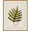 Plant Presses 8 Print by Lillian August