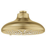 Massage Rain Shower Head