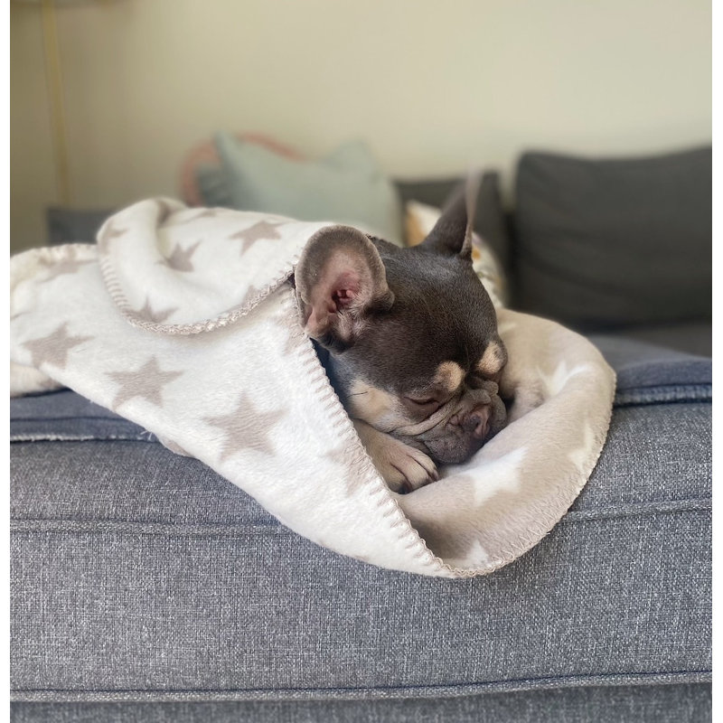 Star Print Dog Blanket
