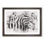 Stripes of the Zebras - Picture Frame Graphic Art Print-56877954-56877951