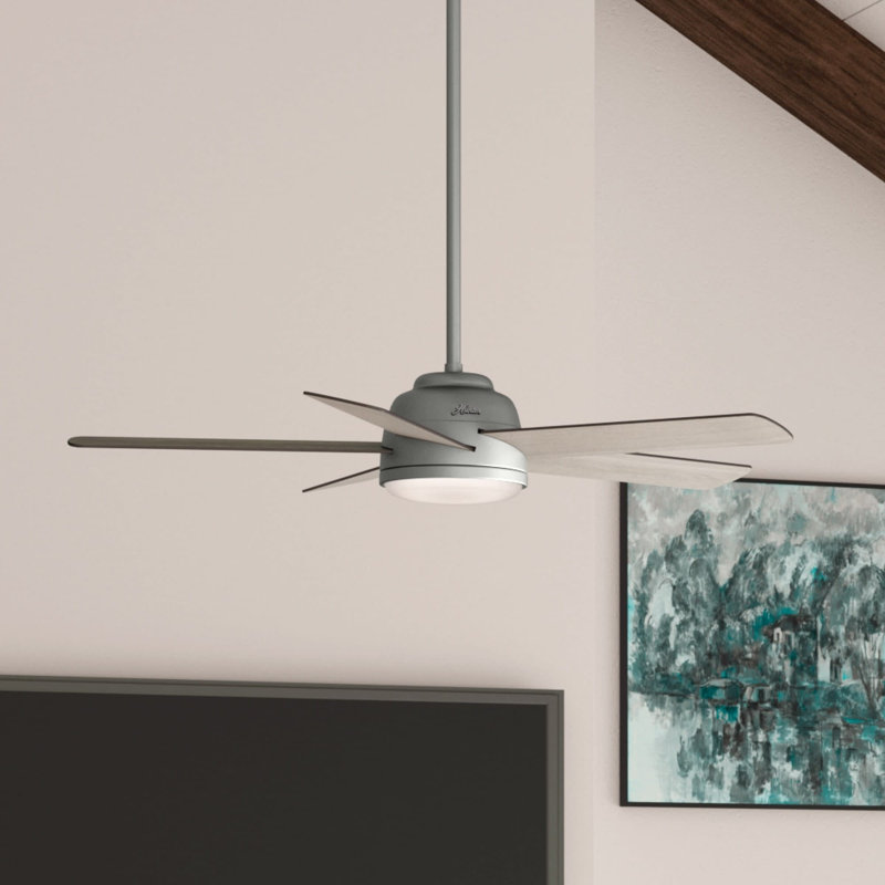 54" Romulus 5 - Blade LED Smart Standard Ceiling Fan with Remote Control and Light Kit Included, Matte Silver