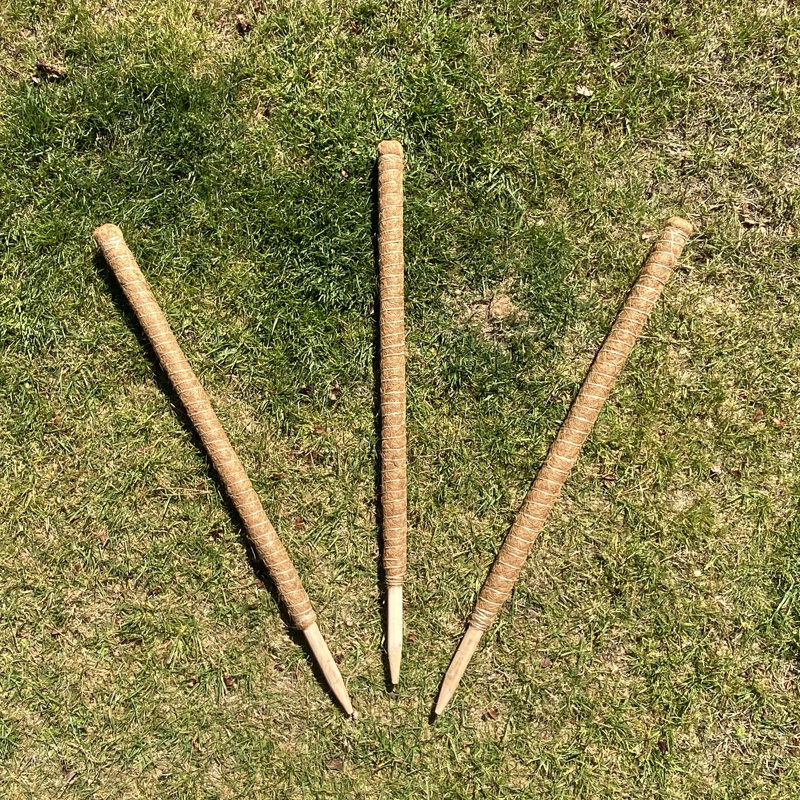 Caven Wood Plant Support