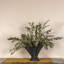 Hopewell 11.25'' Handmade Stoneware Table Vase-732107832